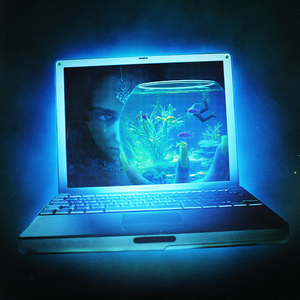 Fish Food (aldrch remix)