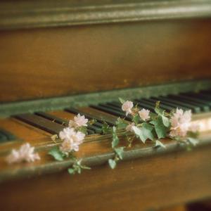 ปลอบเราหน่อย