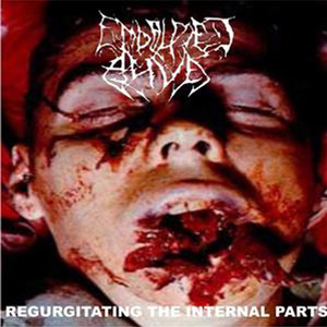 Regurgitating the Internal Parts