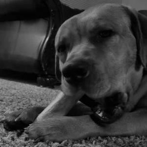 Good Eats (feat. J.Sol & KJ The Cool Nerd)