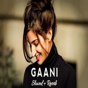 Gaani (Slowed + Reverb)