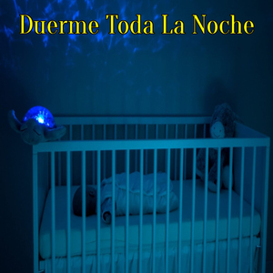 இரவு முழுவதும் தூங்கு