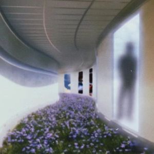 世界分裂 我把音乐当解药