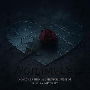 NGILIMELE (feat. Shenice Gumede)