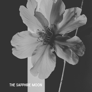 The Sapphire Moon