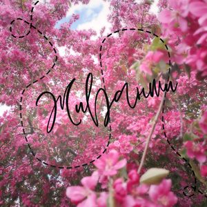 Баллада о ветре