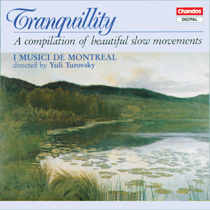 Piano Concerto No. 2 in F Major, Op. 102: II. Andante