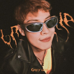 Grosería