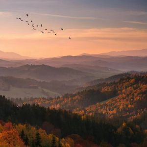 借秋天的名义，对你说