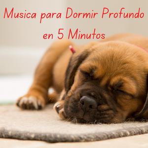 Musica para Dormir Profundo en 5 Minutos (Instantáneo)