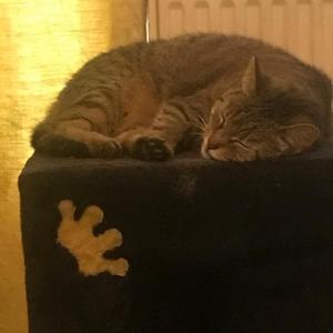 Kennst Du?