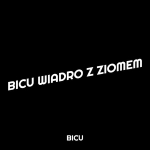 Bicu Wiadro Z Ziomem