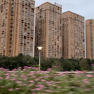 流川枫与苍井空