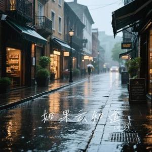 太多 (Cover 洋澜一)