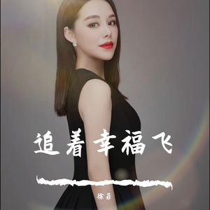 追着幸福飞 徐菲