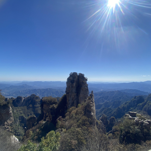 这份爱是我搭错的车