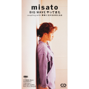 素直に泣ける日笑える日 (Re Mix)