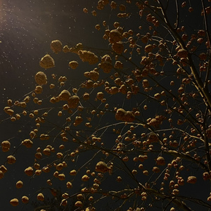 Моя девочка