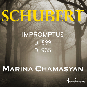 Four Impromptus, D. 899 (Op. 90) No. 3 in G-Flat Major