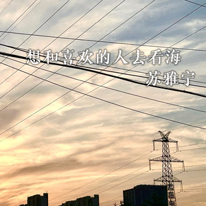 想和喜欢的人去看海