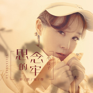 思念的牢 (DJ何鹏版)