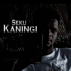 Sekukaningi