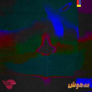 Safineh (feat. Saghar)