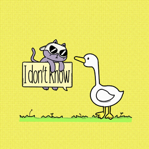 i don't know (Feat. HAEIN)