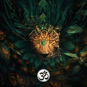Ayahuasca Journey