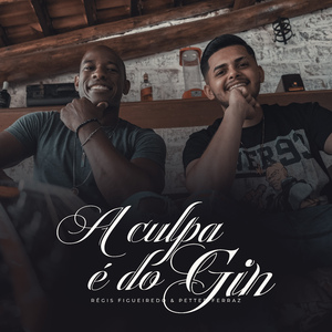 A Culpa É do Gin