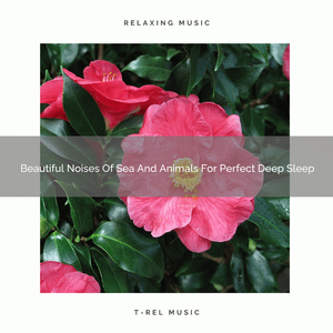 Beautiful Noises Of Sea And Animals For Perfect Deep Sleep