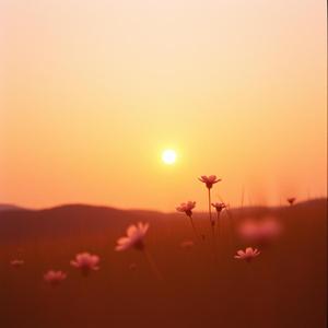 　何度もその素敵な笑顔で