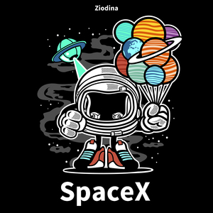 Space X