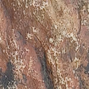 trotventurs1 they were