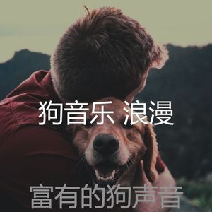 柔和的小狗时刻