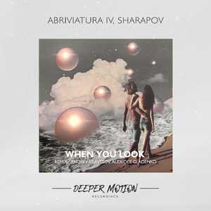 When You Look (Andrey Kravtsov Remix)