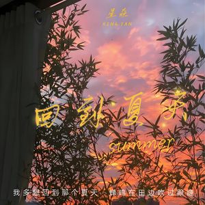 回到夏天 伴奏