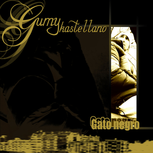 Gato Negro (Breakbeat Remix)
