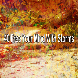 Rainfall On The Peak