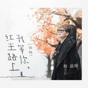 红尘路上我等你 (吉特巴舞曲A版|DJ何鹏版)