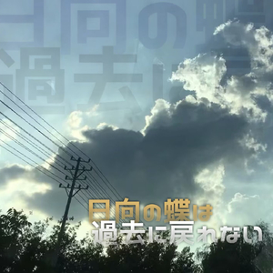 日向の蝶は過去に戻れない