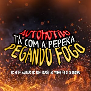 Automotivo Tá Com a Pepeka Pegando Fogo (feat. Mc NT do Mandelão)