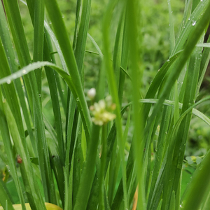 The City Is Very Beautiful