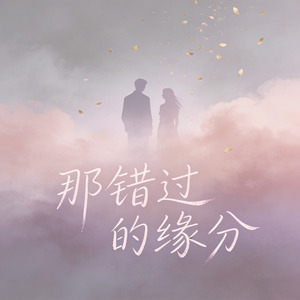 那错过的缘分 (烟嗓版)