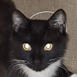 暗_缩混（翻自A1 TRIP / xxxmiracle / 阿彻）