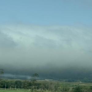 Whispering Sunshine (Special Version)