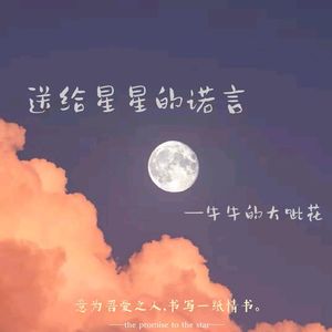 送给星星的诺言