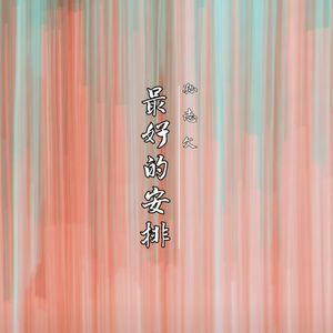 最好的安排(伴奏)