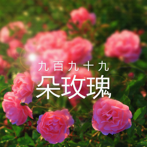 九百九十九朵玫瑰