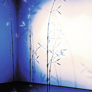 人生苦短（cover：JSore）